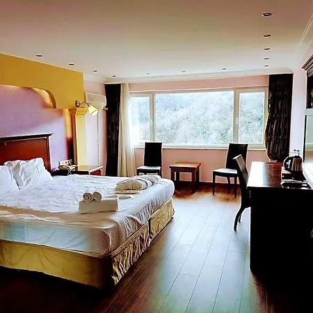 Hotel Thermalium Wellness By Vima - Yalova Çınarcık