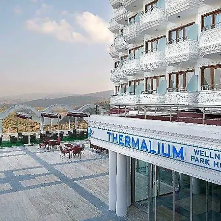 Thermalium Wellness By Vima - Yalova 5*